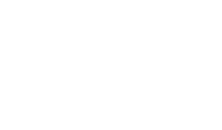 DDD Rauche Dachdeckermeister